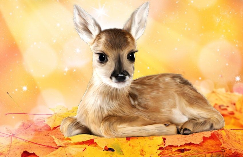 bambi csoport emblémája.