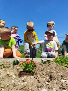 Maci csoport. Kertészkedés.