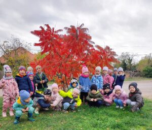 Szivárvány csoport. Őszi kirándulás.